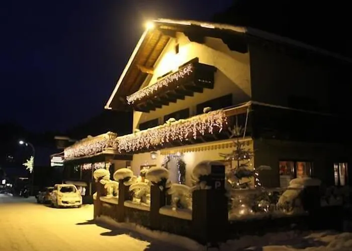 ホテル Partenerhof 3*